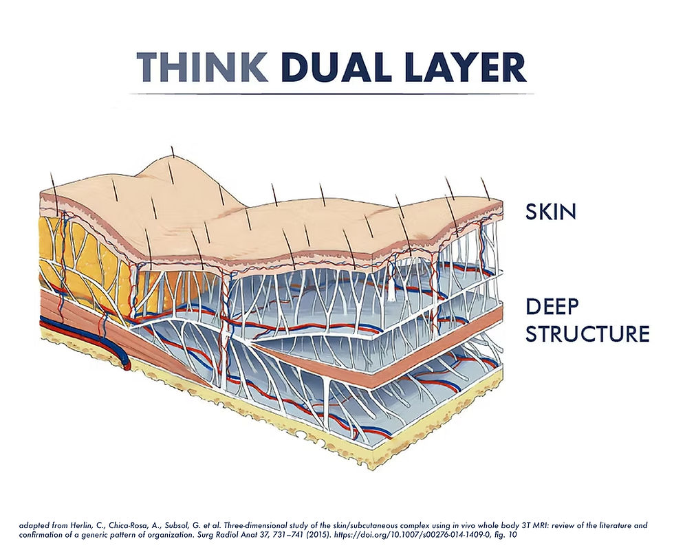Dual Layer.jpg